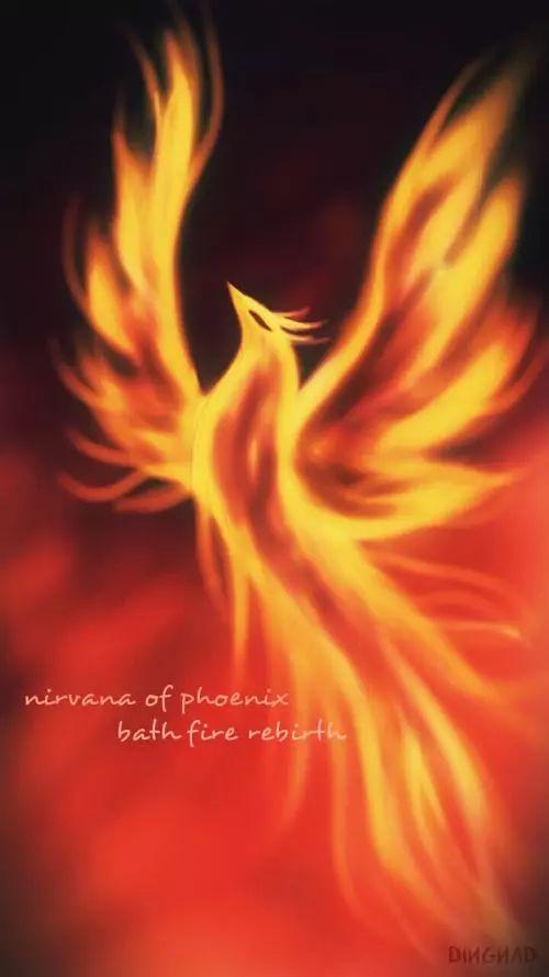 迎亲之辱凤凰涅槃,凤凰涅槃,浴火重生 第3张 迎亲之辱凤凰涅槃,凤凰涅槃,浴火重生 第3张